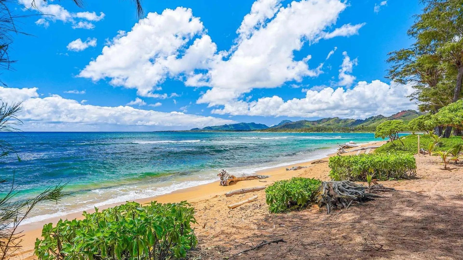 Islander On The Beach 320 Kapa'a